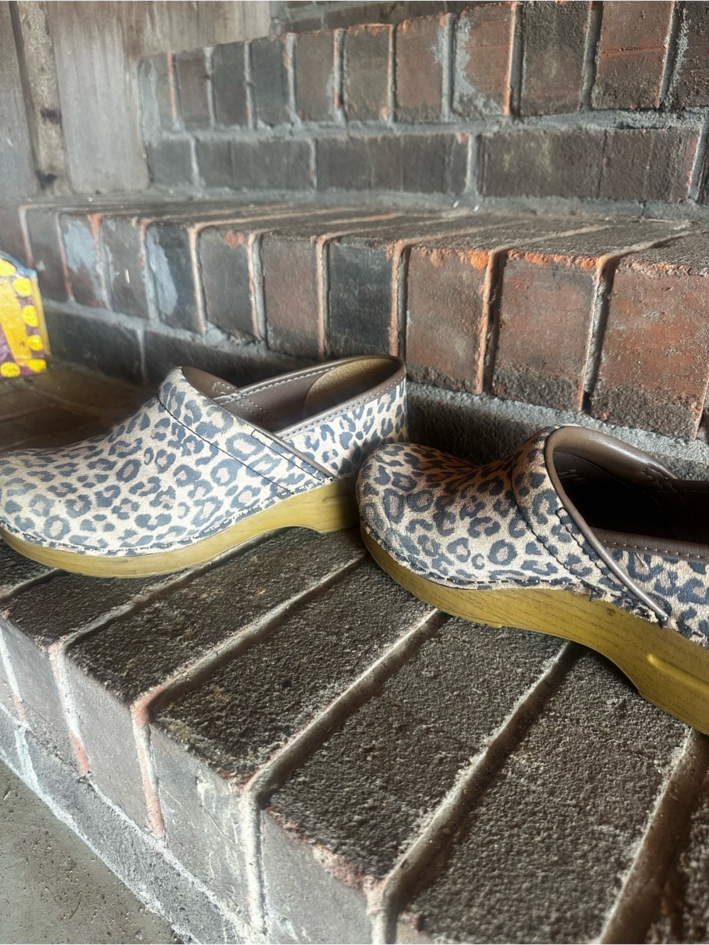 Dansko Leopard Print Clogs in Taupe and Brown